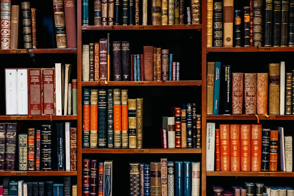 Книжные шкафы с юридическими томами